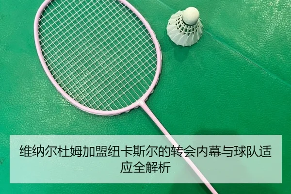 维纳尔杜姆加盟纽卡斯尔的转会内幕与球队适应全解析（C7）